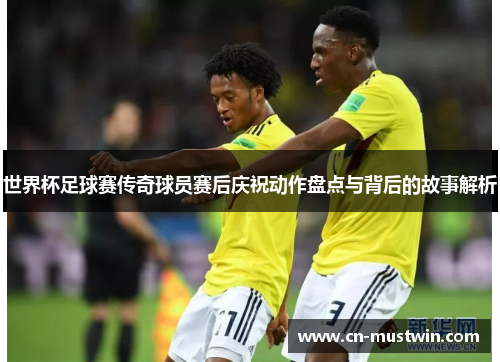 世界杯足球赛传奇球员赛后庆祝动作盘点与背后的故事解析