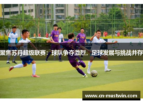 聚焦苏丹超级联赛：球队争夺激烈，足球发展与挑战并存