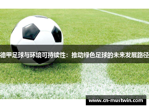 德甲足球与环境可持续性：推动绿色足球的未来发展路径