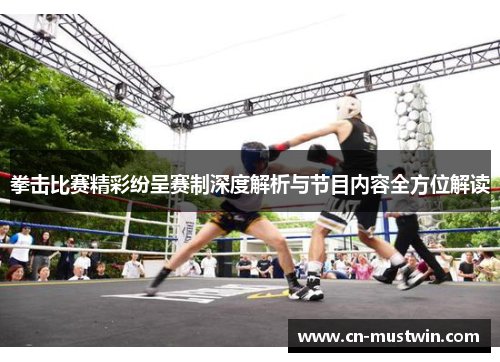 拳击比赛精彩纷呈赛制深度解析与节目内容全方位解读