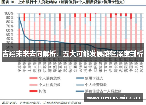 吉翔未来去向解析：五大可能发展路径深度剖析