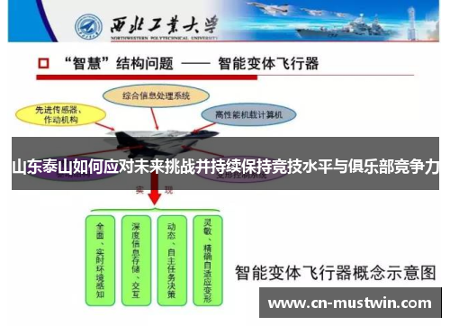 山东泰山如何应对未来挑战并持续保持竞技水平与俱乐部竞争力