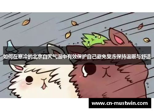 如何在寒冷的北京白天气温中有效保护自己避免受冻保持温暖与舒适