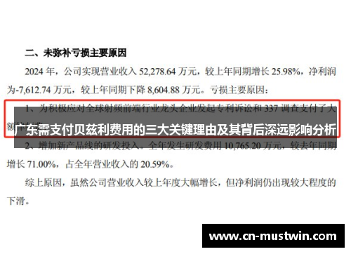 广东需支付贝兹利费用的三大关键理由及其背后深远影响分析