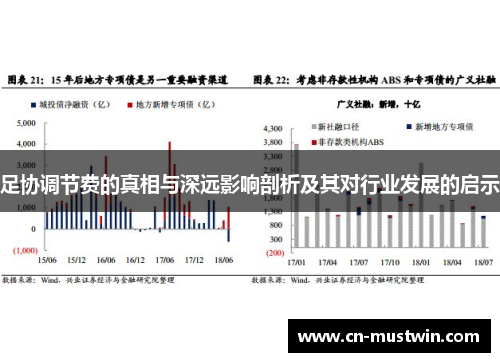 足协调节费的真相与深远影响剖析及其对行业发展的启示